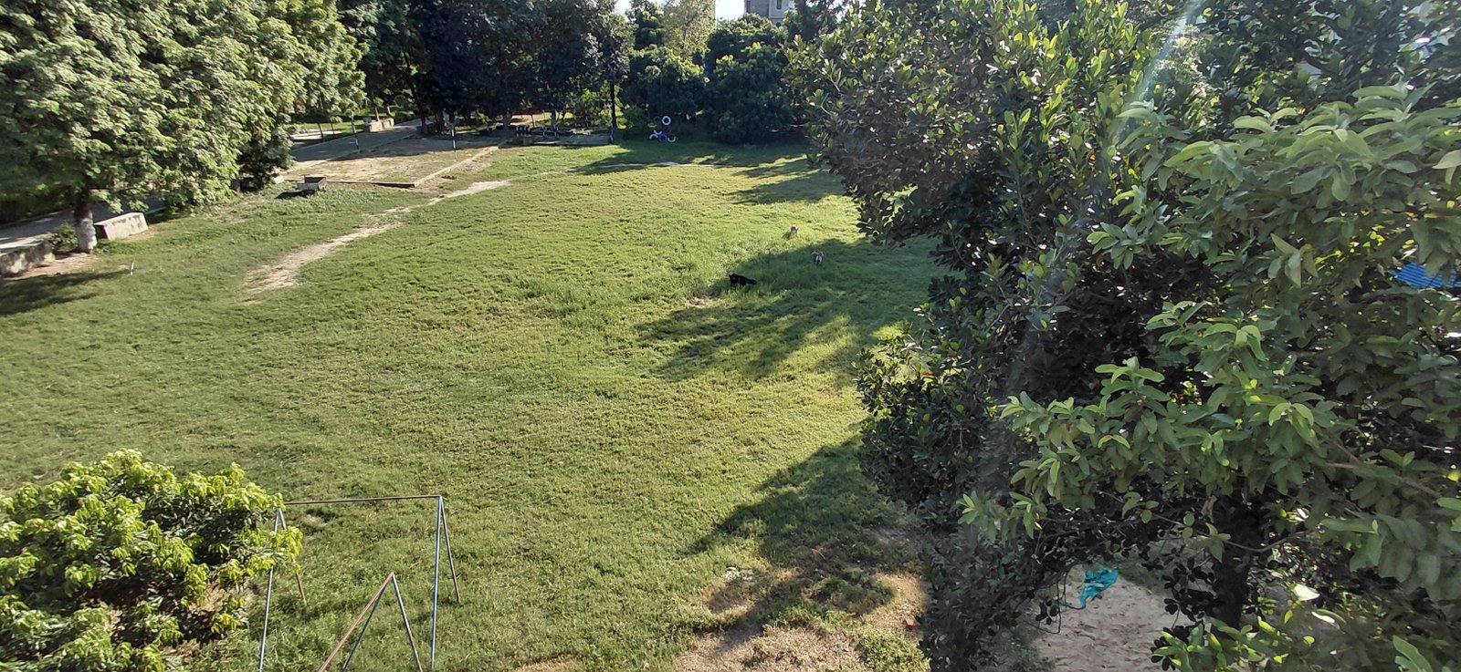 Play Ground